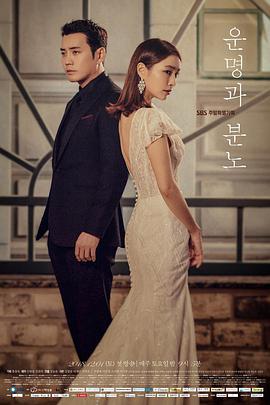 命运与愤怒下载