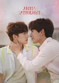 像猫一样的你下载