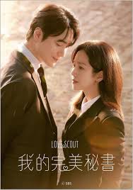 我的完美秘书下载